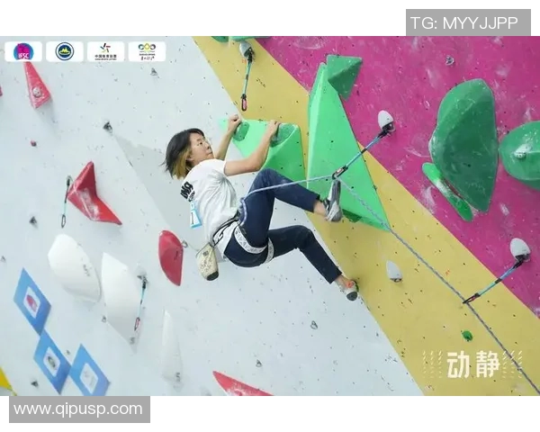 攀岩深度探索：揭秘西安攀岩队的运营模式与发展策略